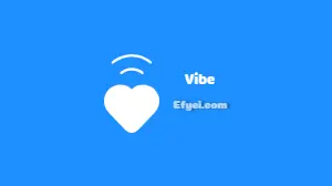arti vibe