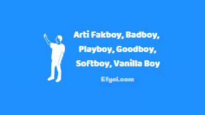 Arti Fakboy, Badboy, Playboy, Goodboy, Softboy, Vanilla Boy