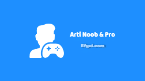 Apa itu Noob, Newbie, Pro Player? Ini Artinya