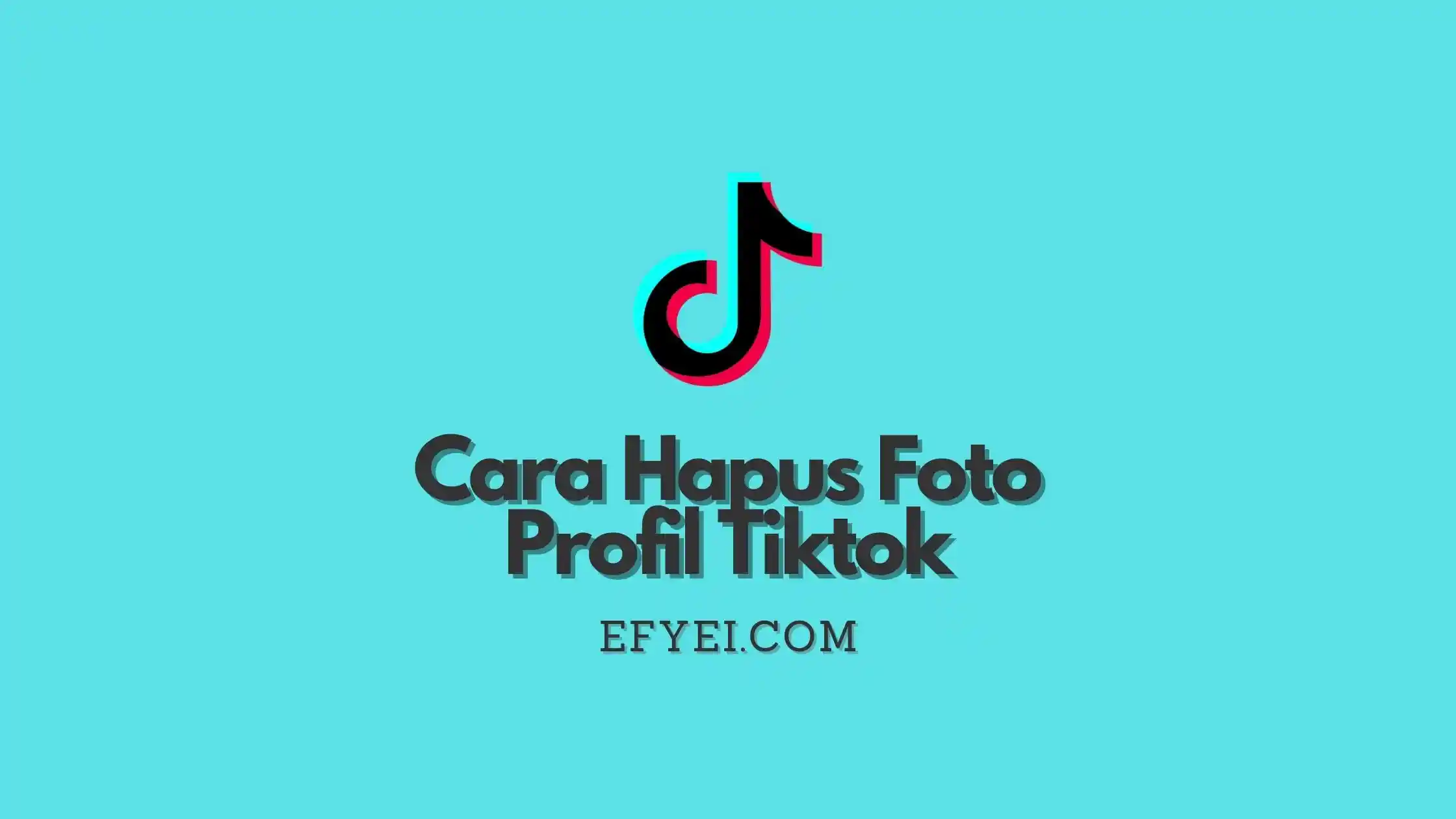Cara Hapus Foto Profil Tiktok