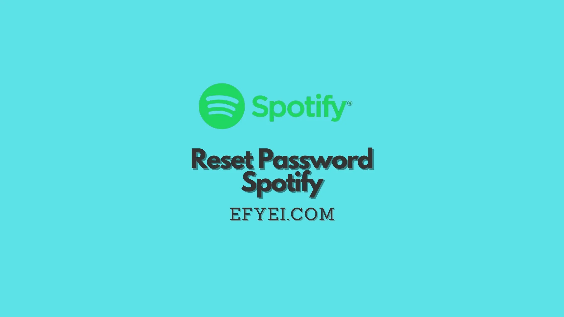 Reset Password Spotify