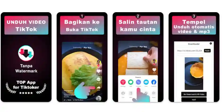 Aplikasi SnapTik TikTok Video Downloader Tanpa Watermark Aplikasi SnapTik TikTok Video Downloader Tanpa Watermark