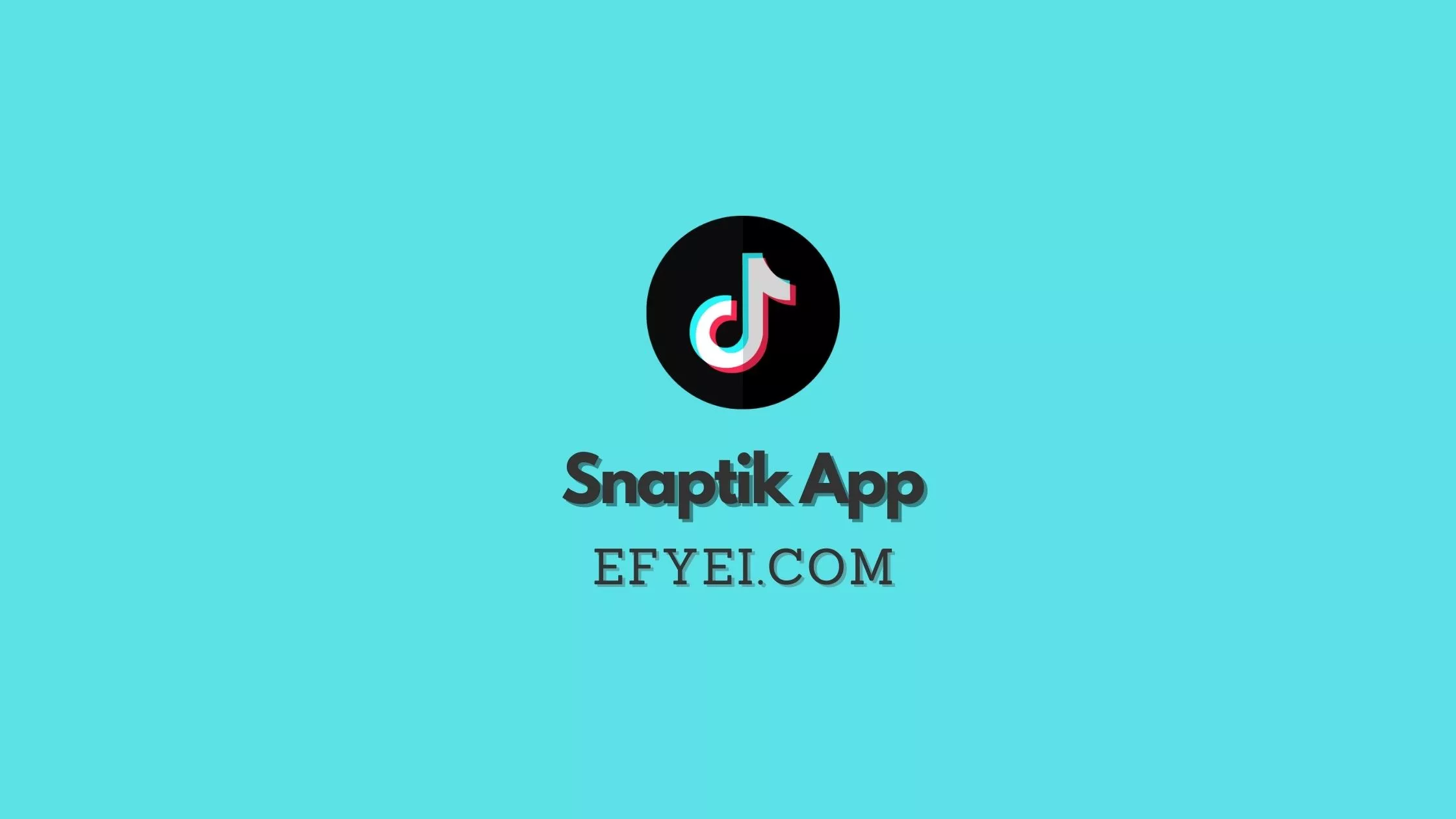 Aplikasi SnapTik TikTok Video Downloader Tanpa Watermark Aplikasi SnapTik TikTok Video Downloader Tanpa Watermark